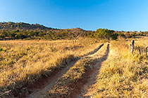 farm track