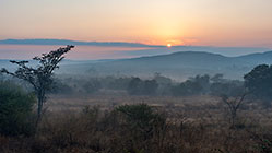 sunrise & mist over the wetlands