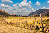 farm field & fenze