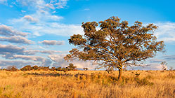 highlands landscape at sunset