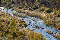 Lephalala river from view point