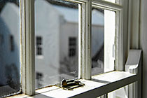 guest house | window