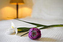guest house | bedroom