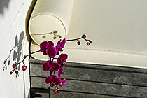 guest house | daybed