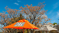 parasols with Karoo1 logo