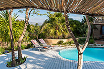 pool & garden