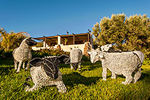 wired sheeps in garden in front of cottages