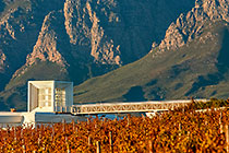 vineyards around cellar & mountains at sunset