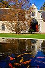 gardens : pond with koi fishes in front of library