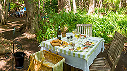 picinic in camphor forest
