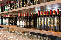 wine tasting | wine bottles in shelves